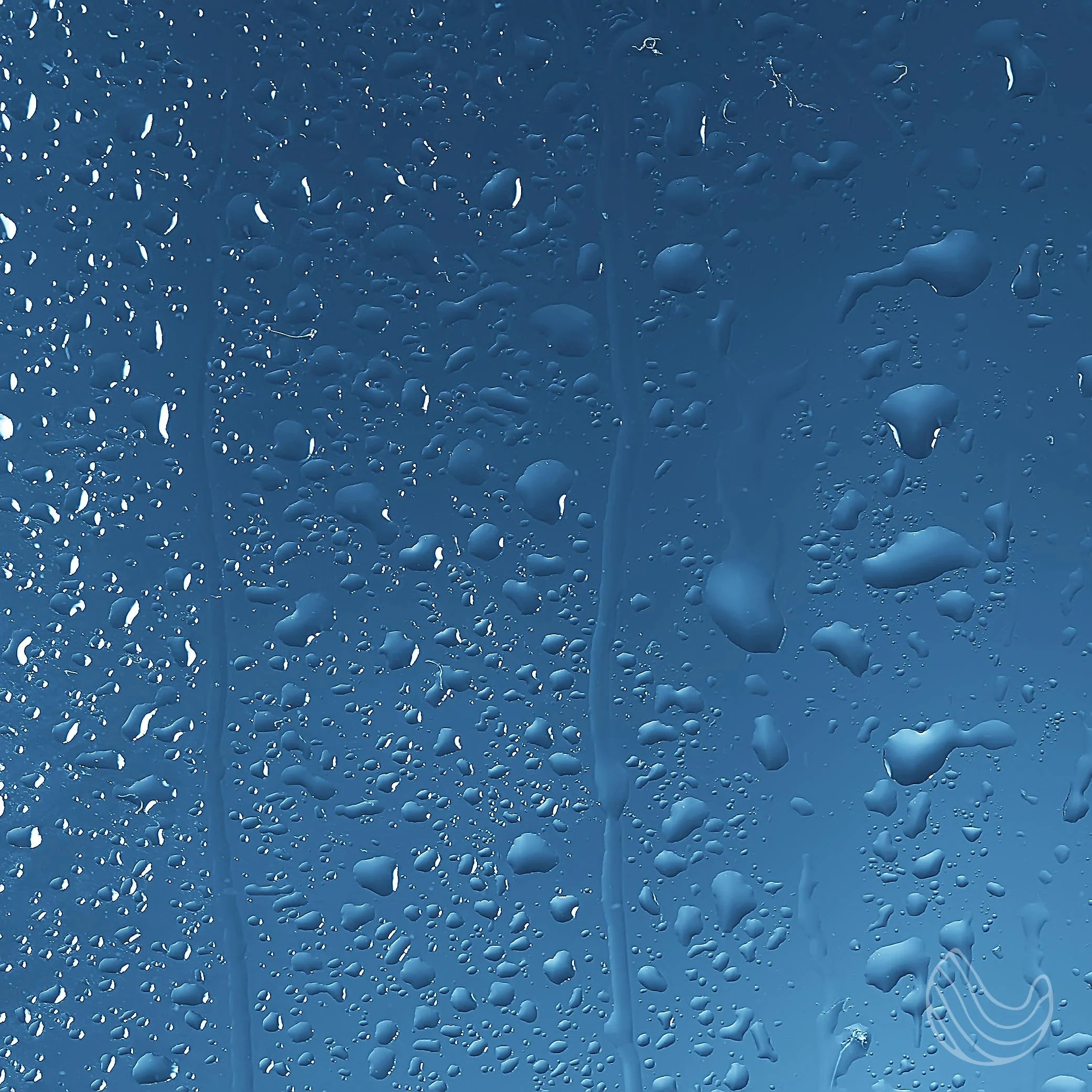 Cleansing Shower Spray Eucalyptus Oil with a Whiff of Spearmint