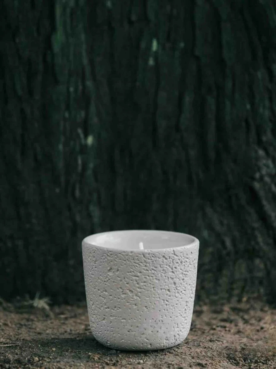 Spiritual Wellness Wood-Wick Soy Candle — Fir Forest