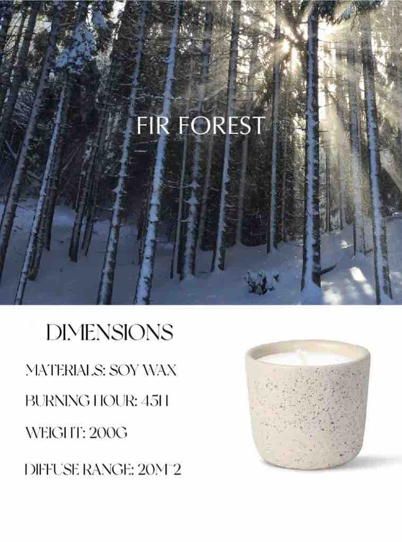 Spiritual Wellness Wood-Wick Soy Candle — Fir Forest