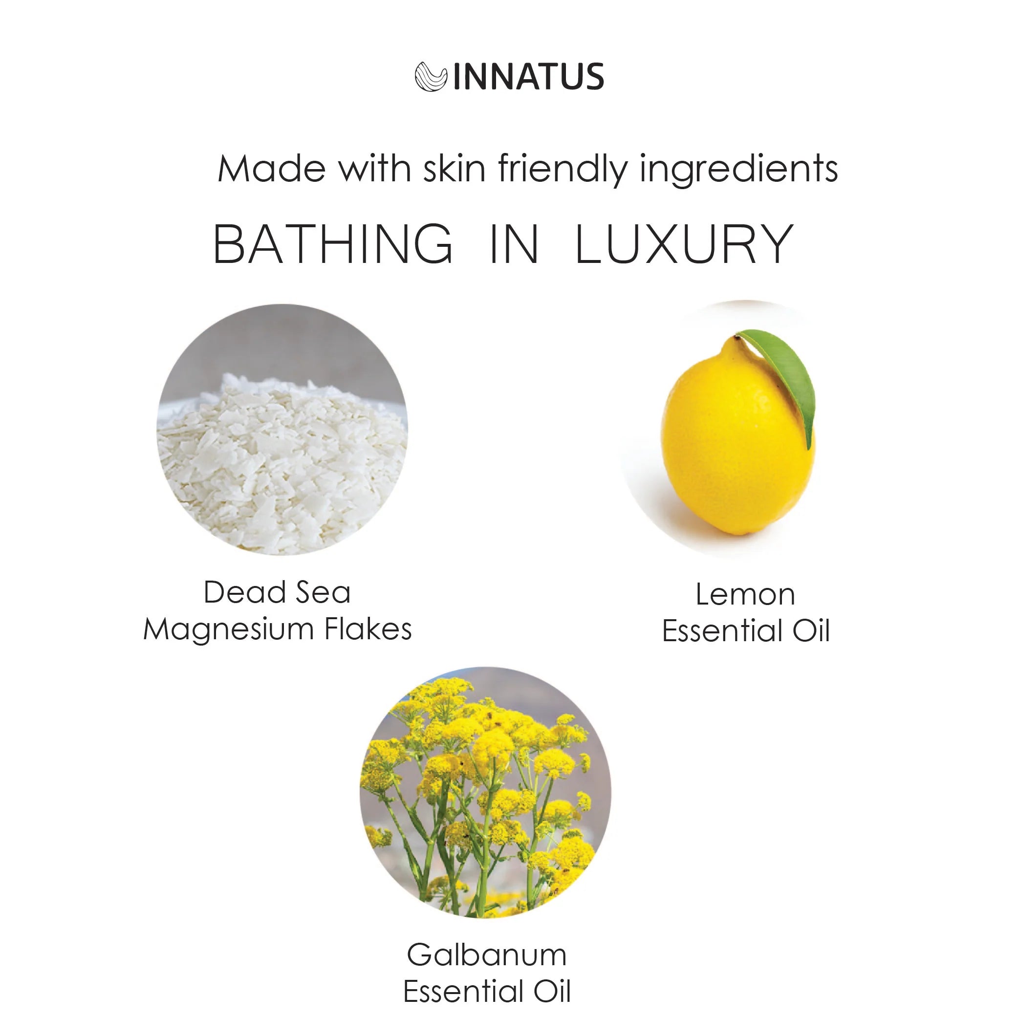 Spiritual Wellness Dead Sea Magnesium Flakes — Galbanum + Lemon Clarity