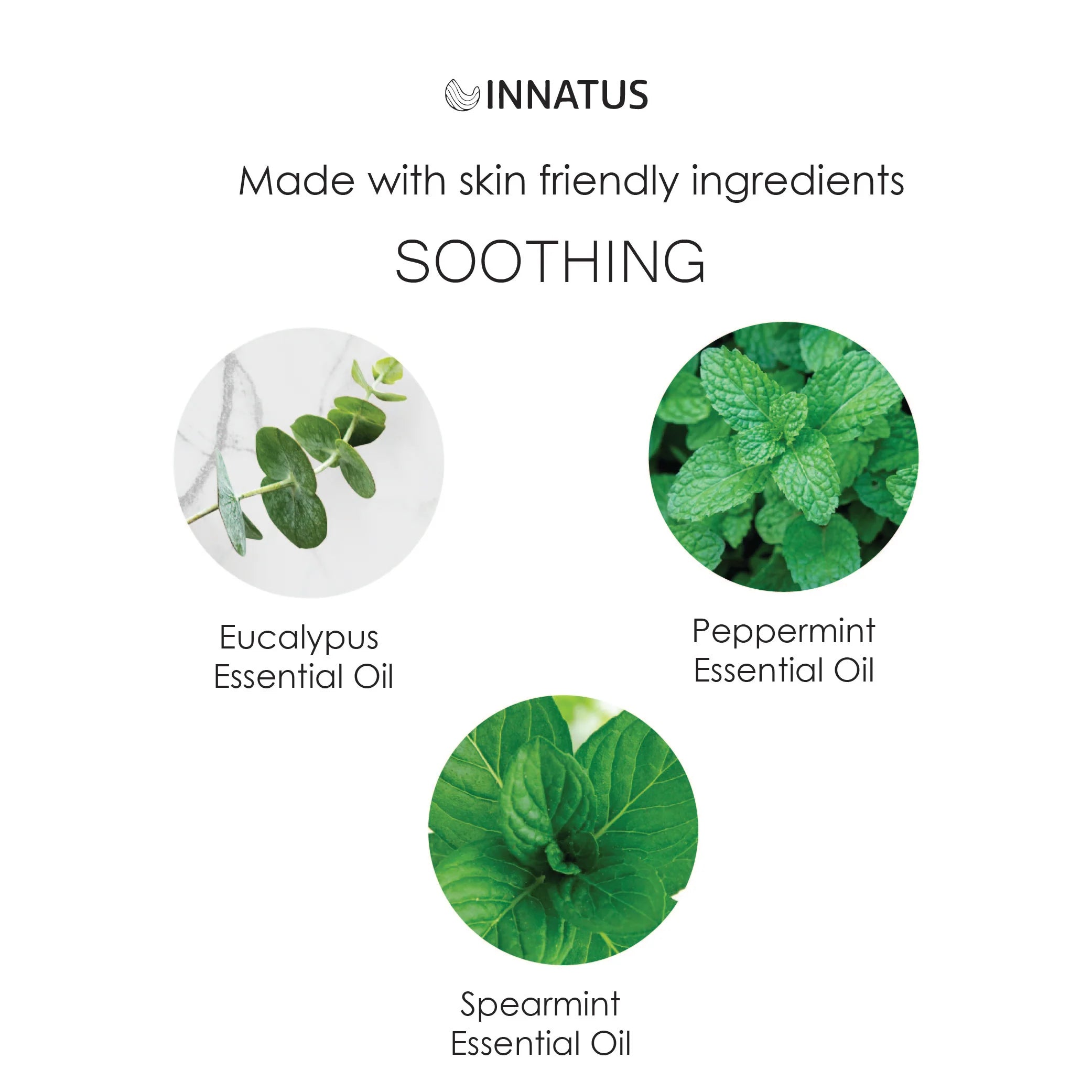 Spiritual Wellness Eucalyptus Shower Spray for Clarity, 100 ml