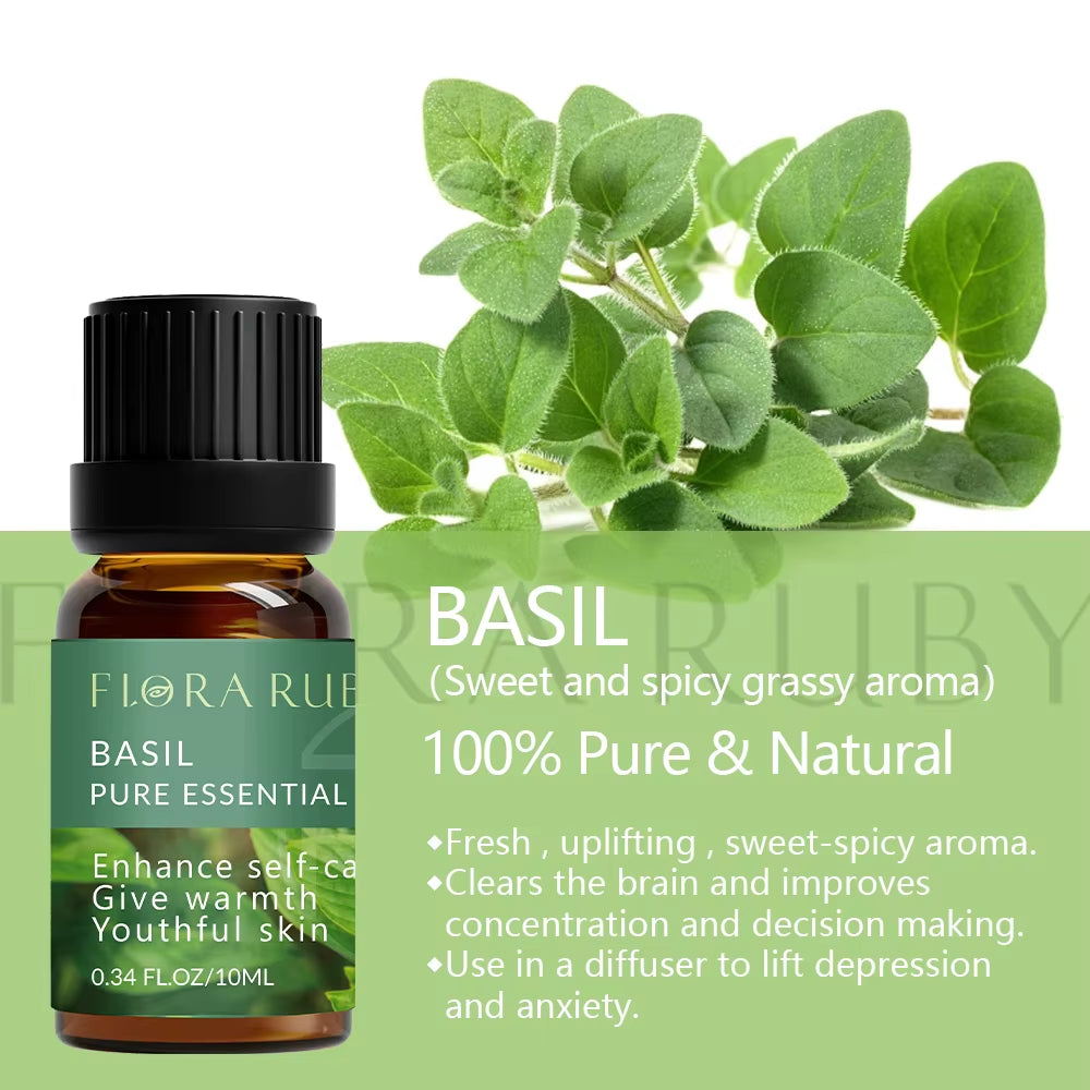 Spiritual Wellness 36-Piece Essential Oils Aromatherapy Gift Set