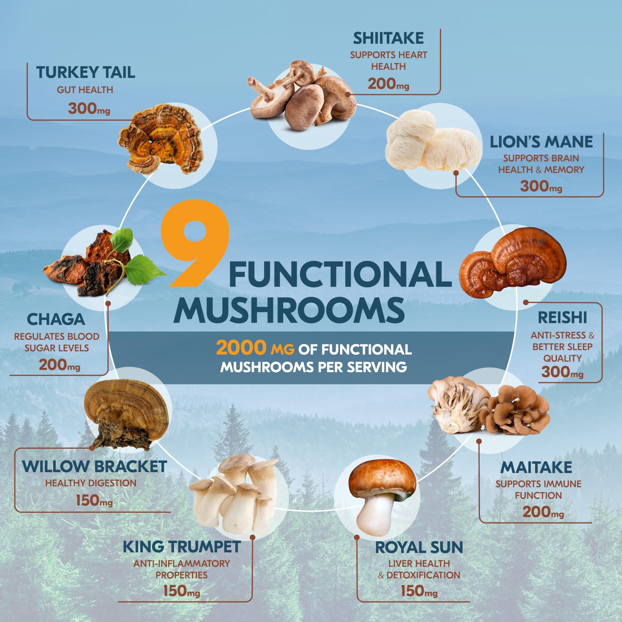 Spiritual Wellness Adaptogenic Mushroom Coffee