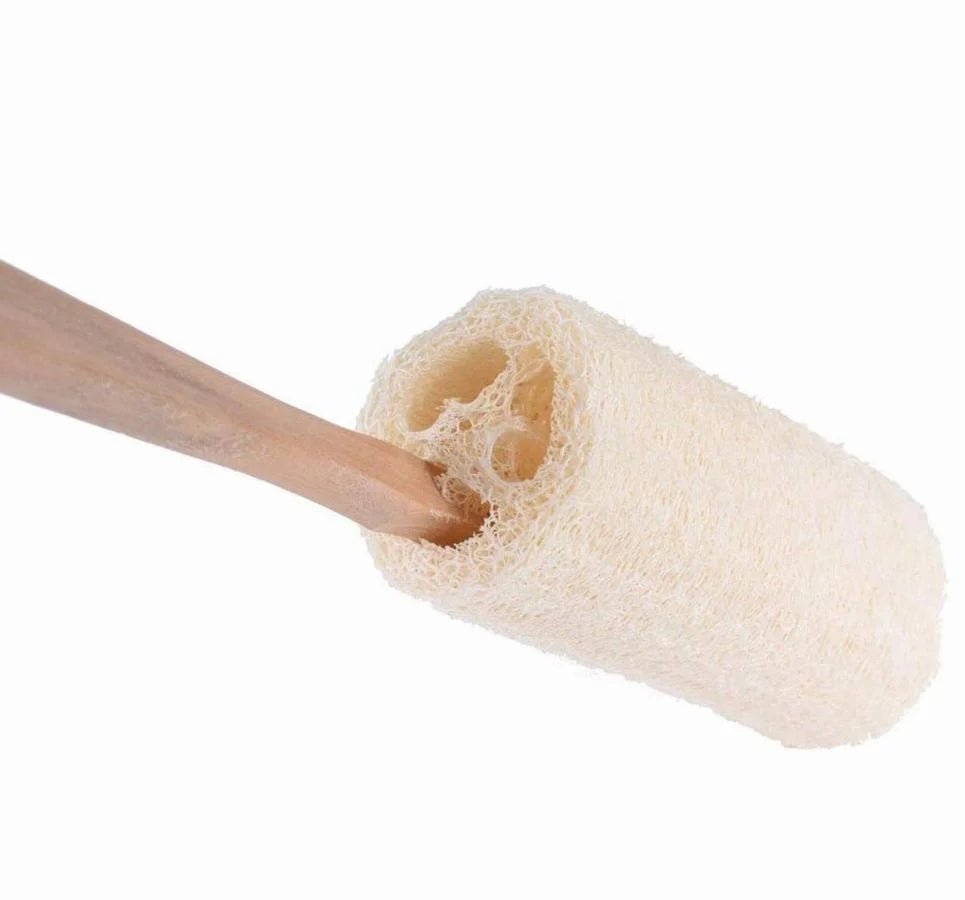 Spiritual Wellness Natural Loofah on Stick
