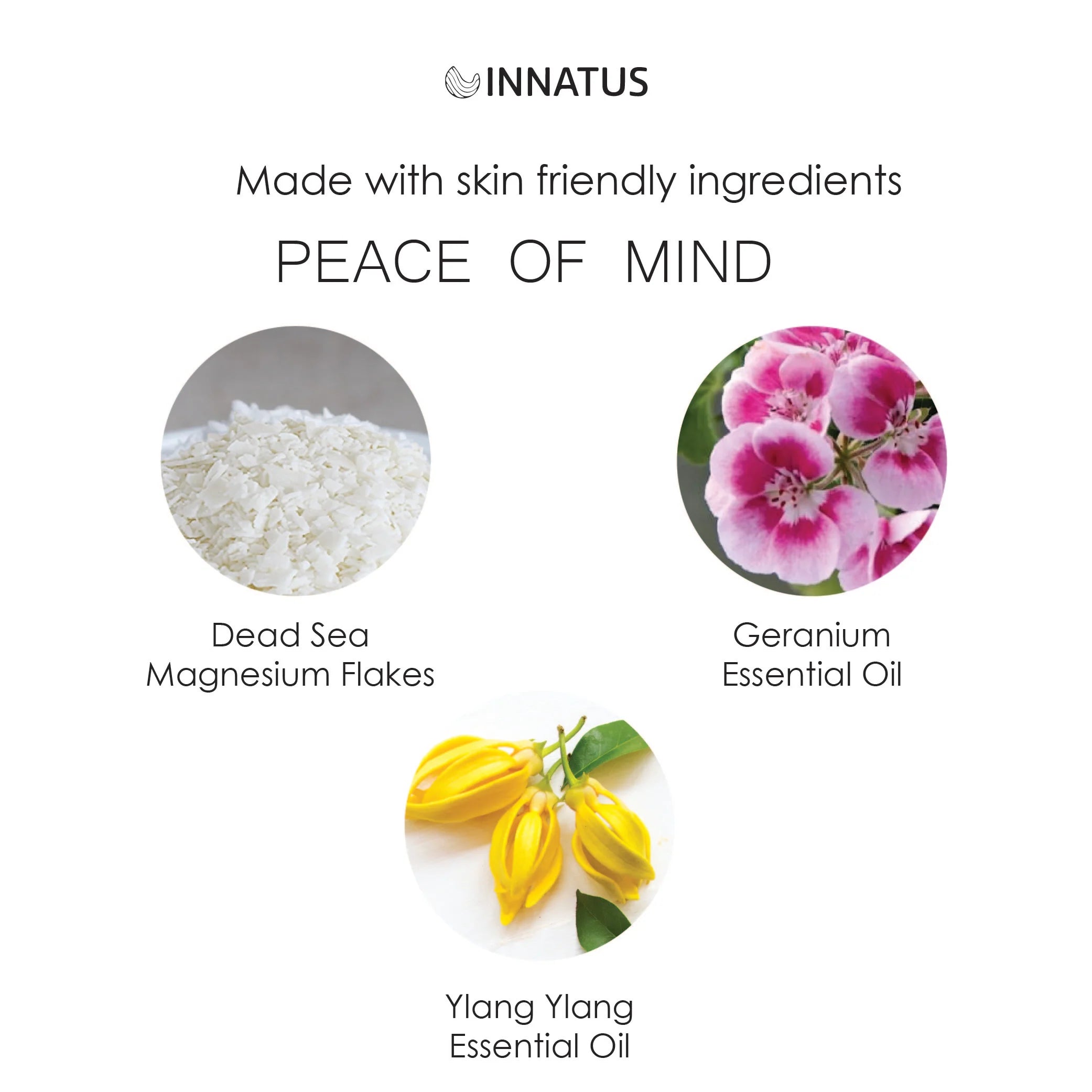 Spritual Wellness Dead Sea Magnesium Flakes — Peace of Mind Blend