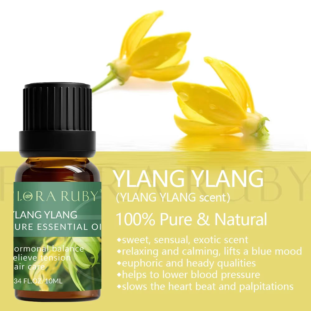 Spiritual Wellness 36-Piece Essential Oils Aromatherapy Gift Set