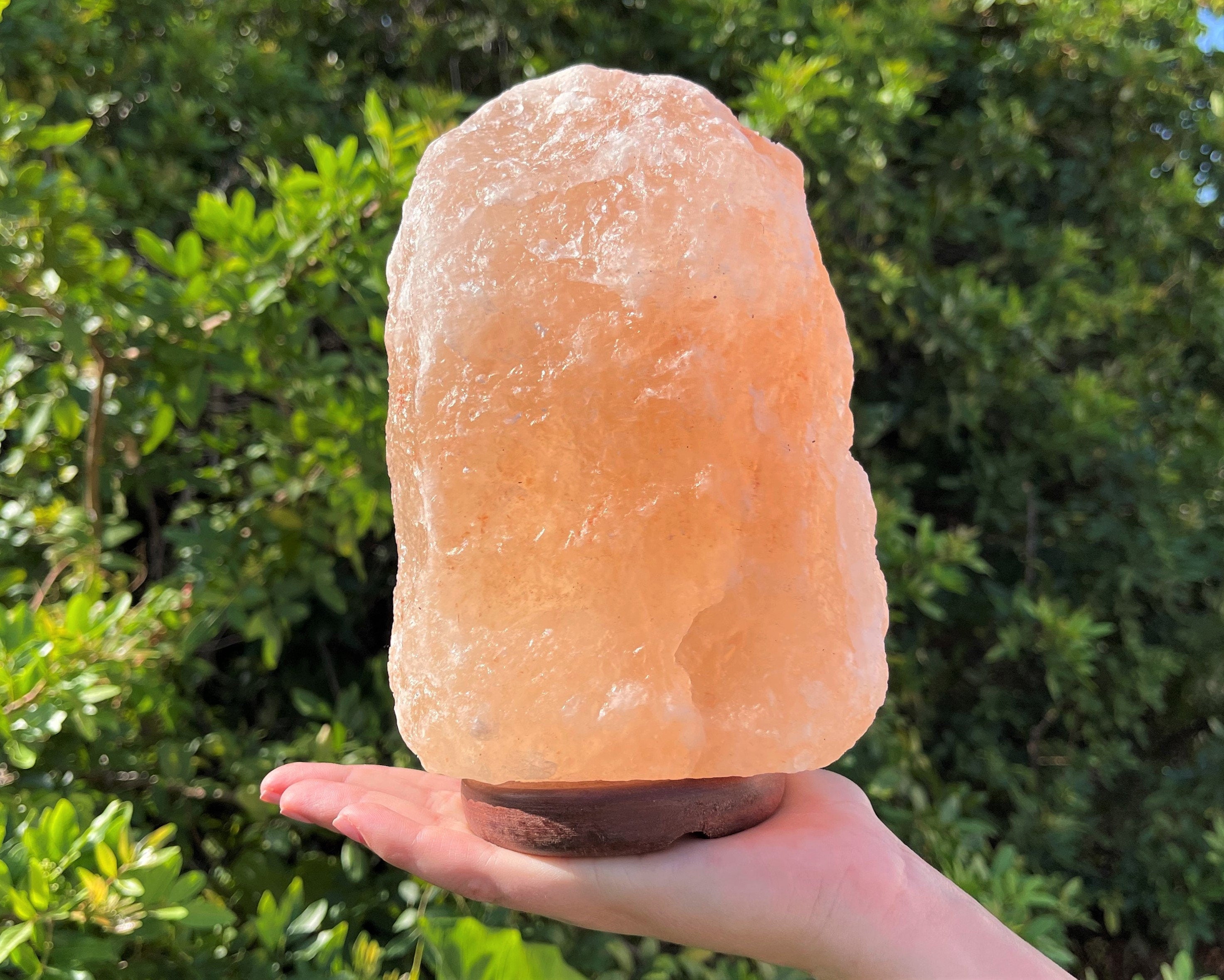 Spiritual Wellness Large Himalayan Salt Lamp (8")