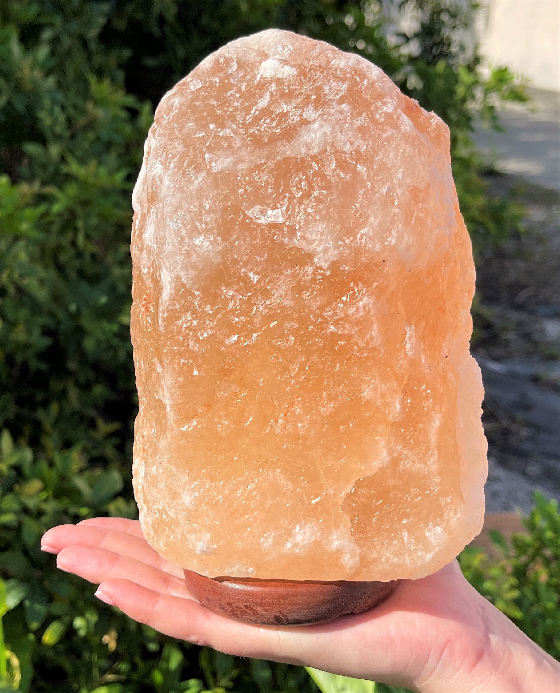 Spiritual Wellness Large Himalayan Salt Lamp (8")