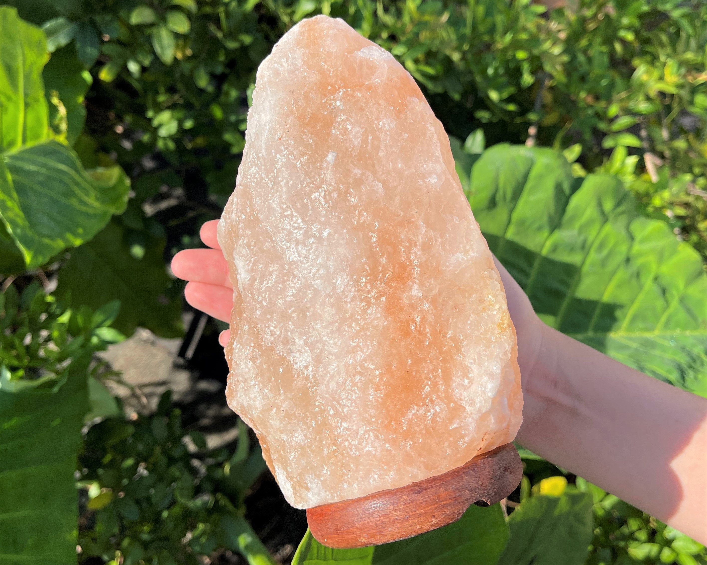 Spiritual Wellness Large Himalayan Salt Lamp (8")