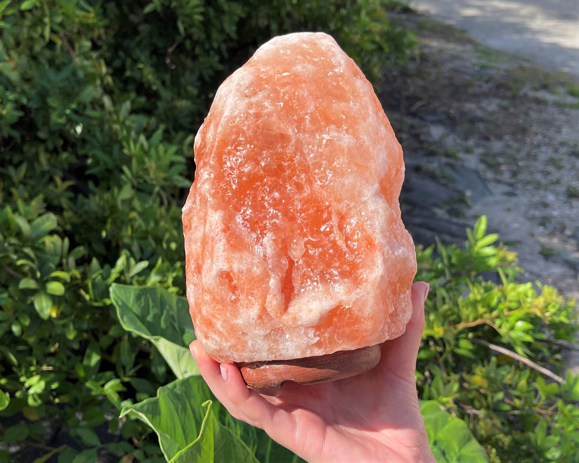 Spiritual Wellness Large Himalayan Salt Lamp (8")