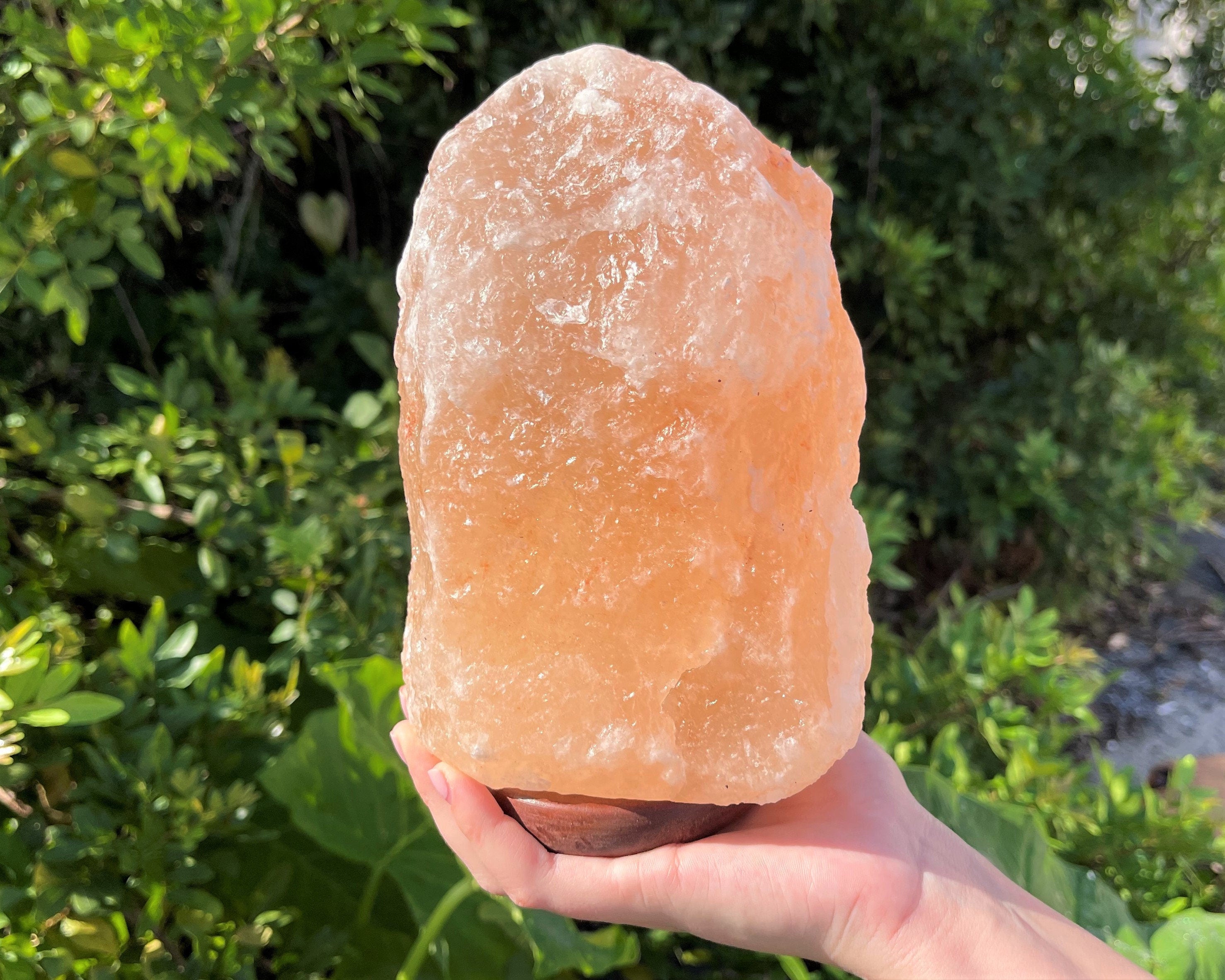 Spiritual Wellness Large Himalayan Salt Lamp (8")