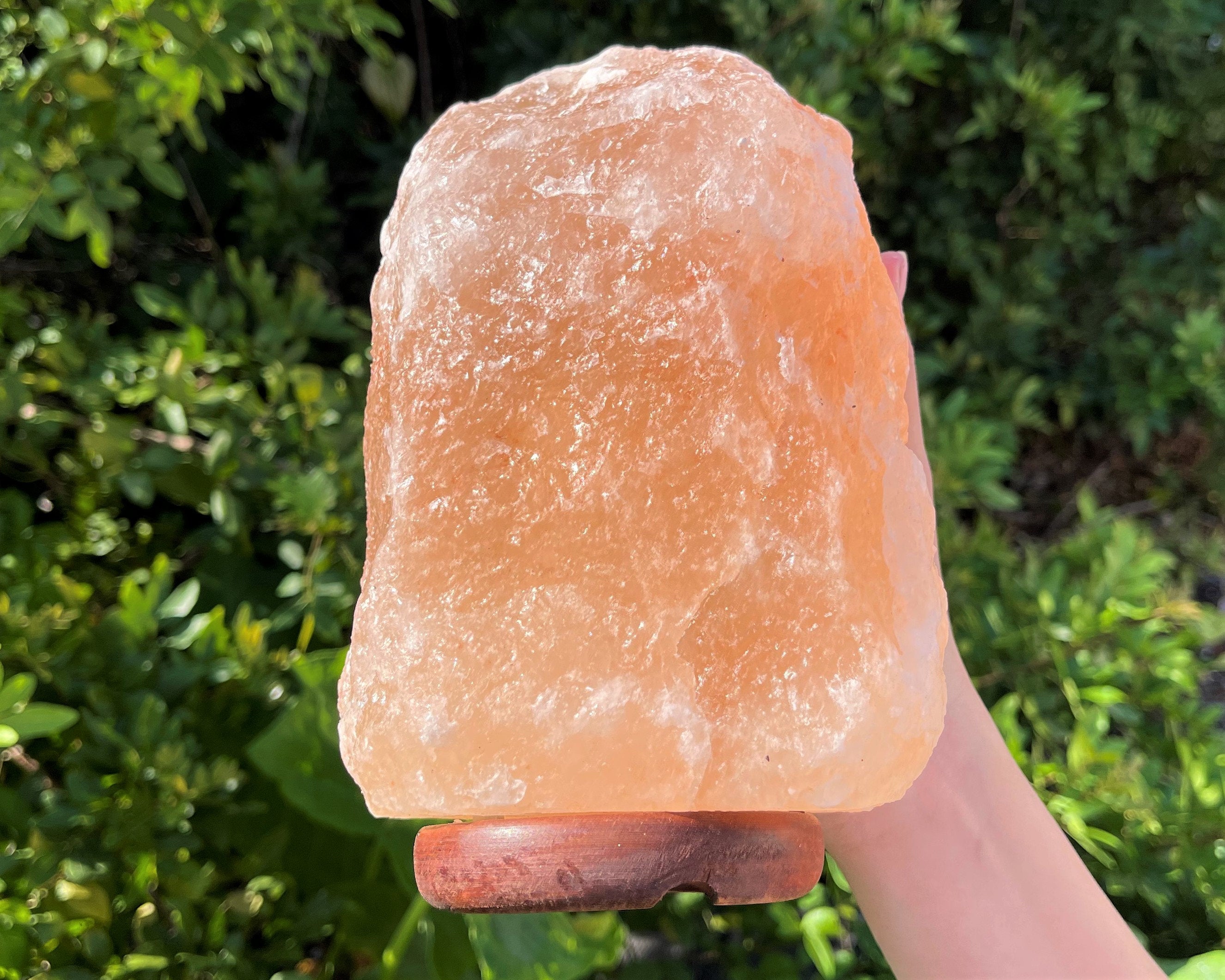 Spiritual Wellness Large Himalayan Salt Lamp (8")