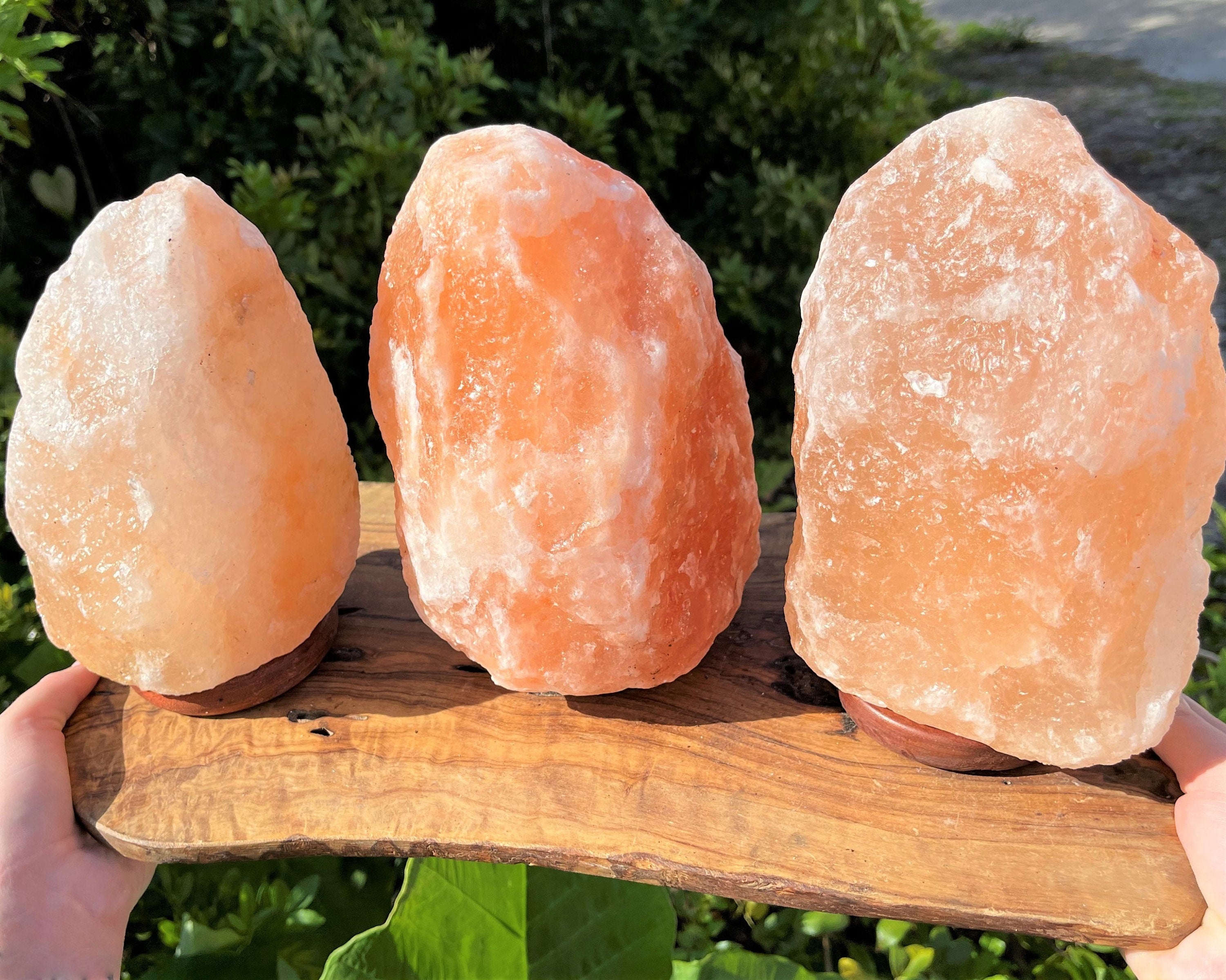 Spiritual Wellness Large Himalayan Salt Lamp (8")