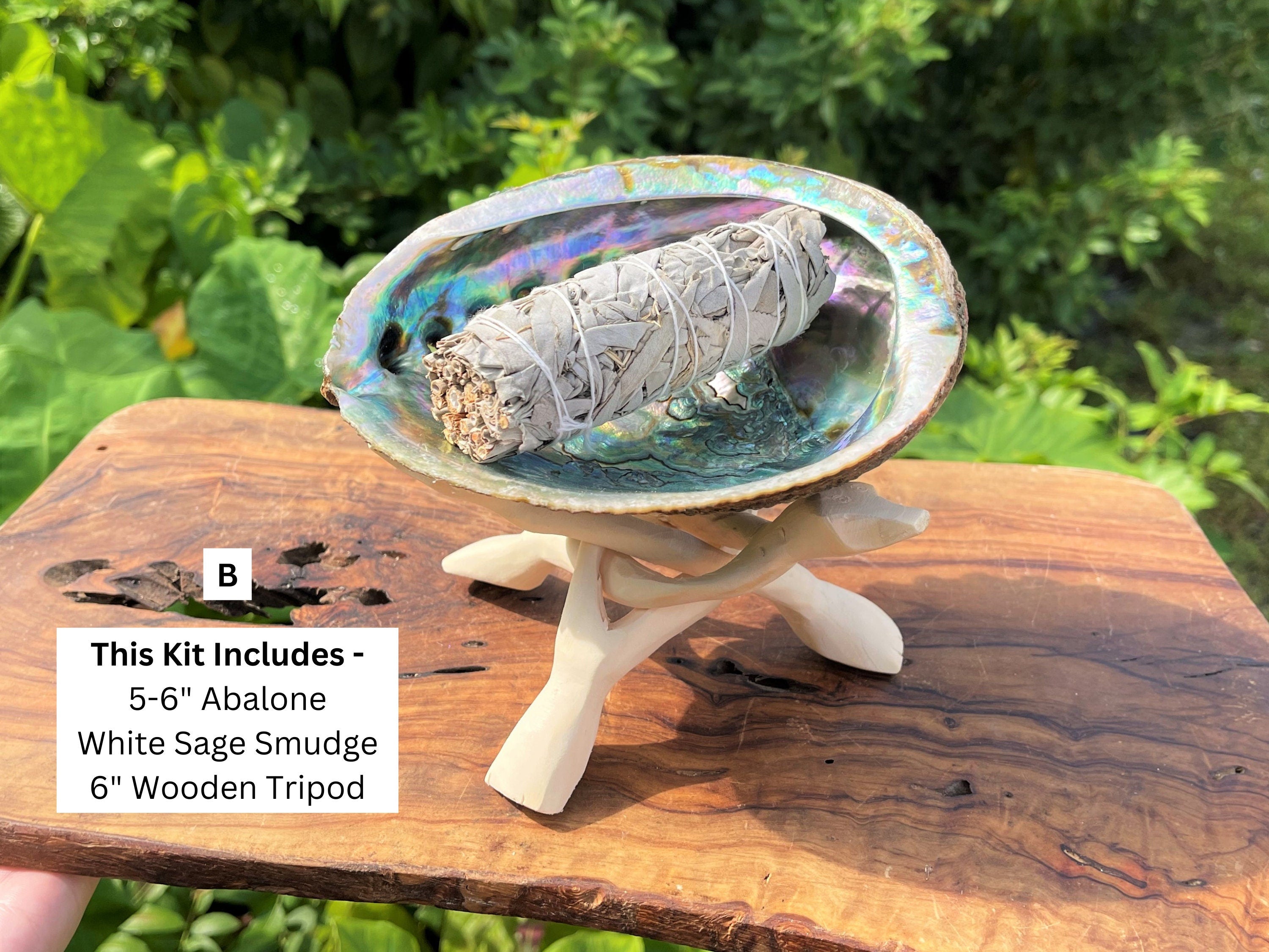 Spiritual Wellness White Sage Smudge Kit with Abalone Shell