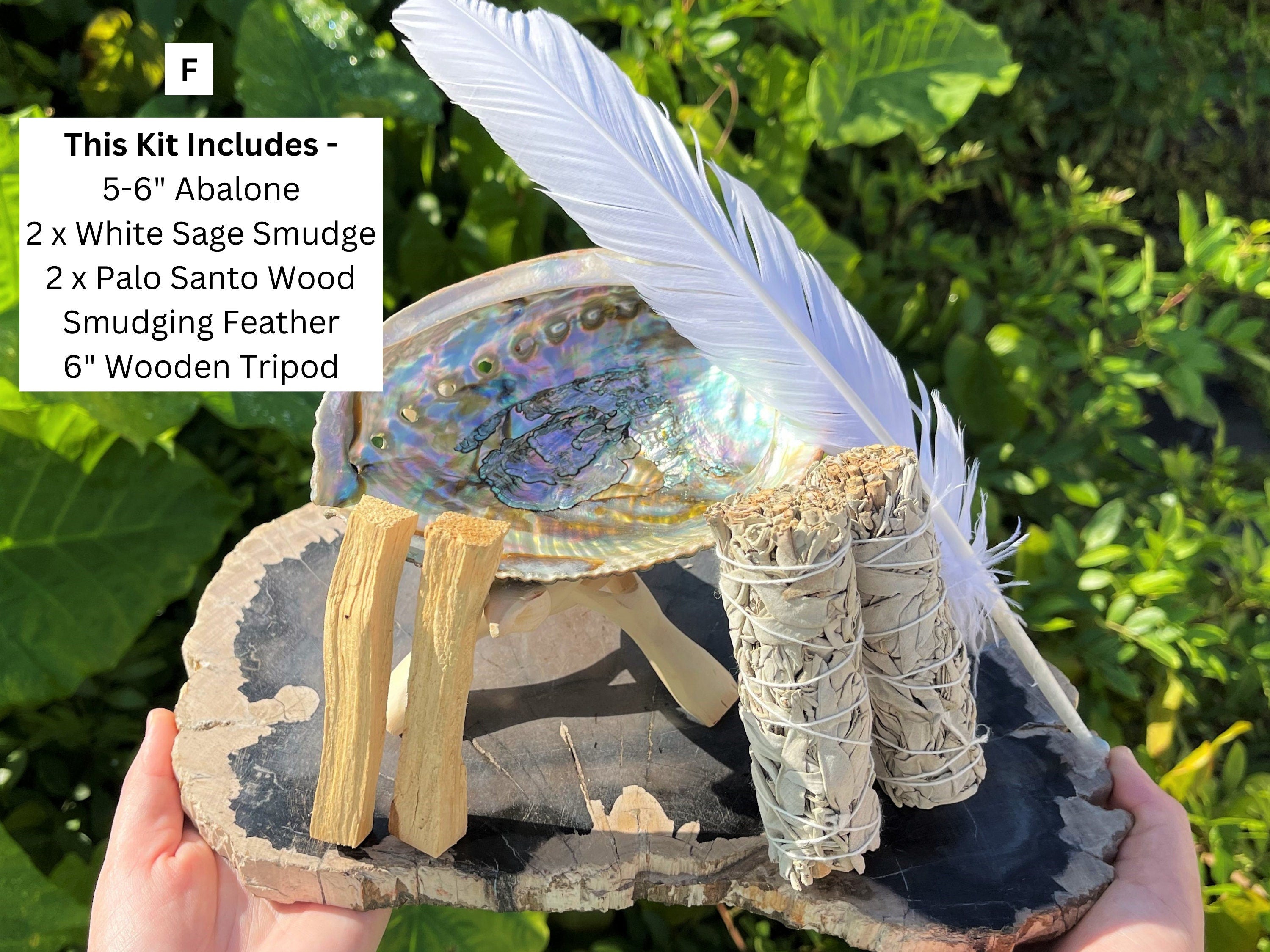 Spiritual Wellness White Sage Smudge Kit with Abalone Shell