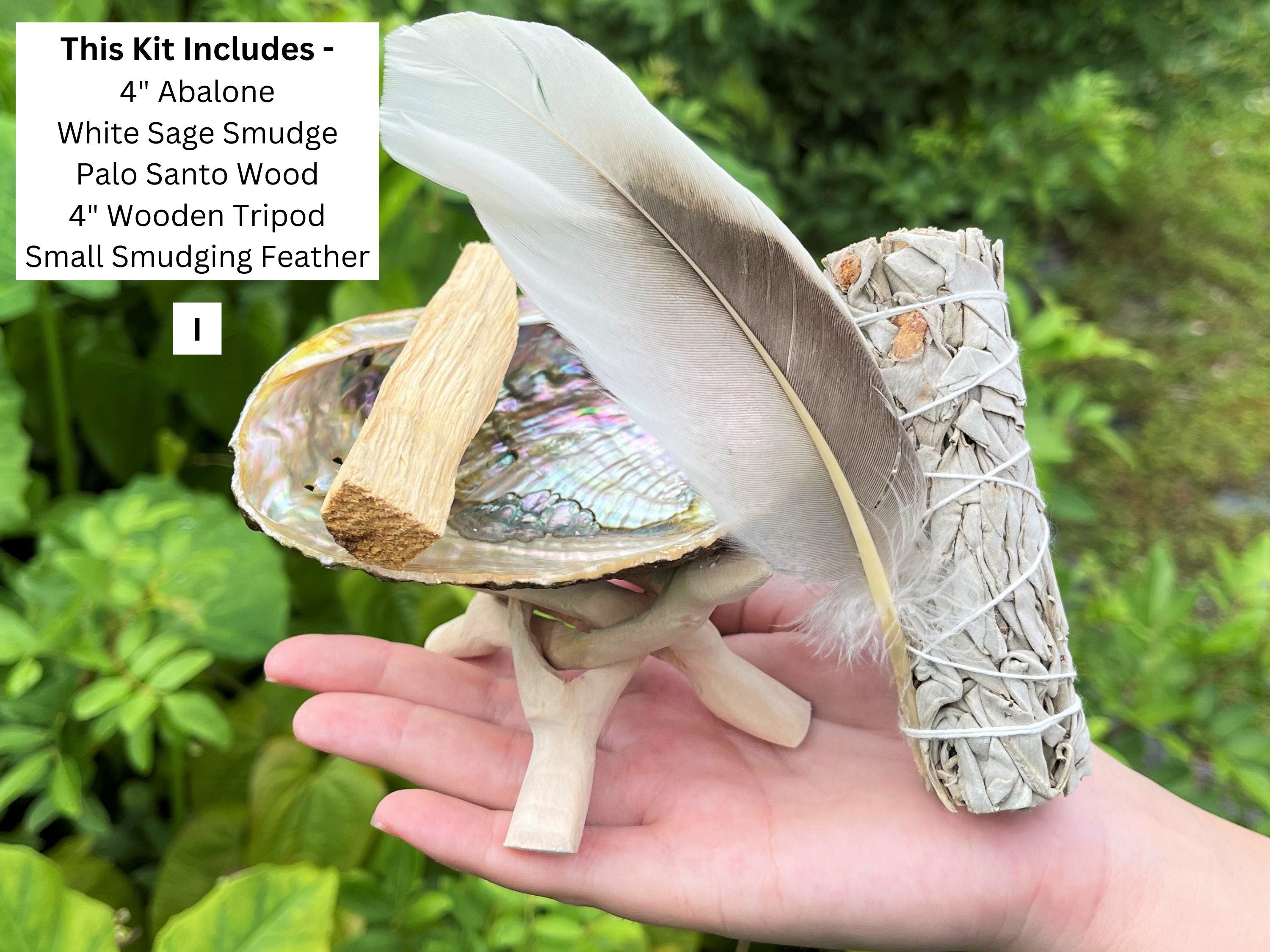 Spiritual Wellness White Sage Smudge Kit with Abalone Shell