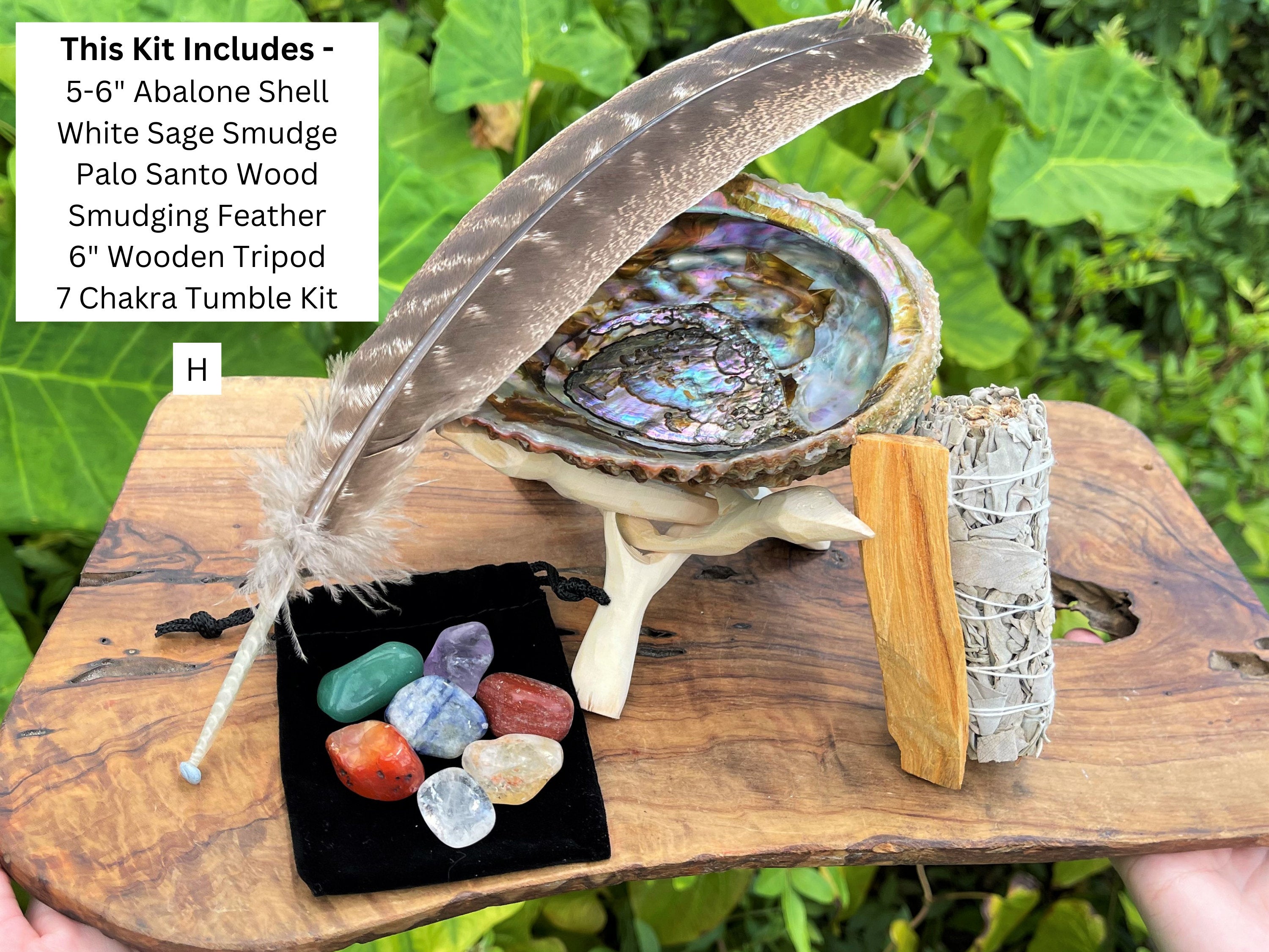 Spiritual Wellness White Sage Smudge Kit with Abalone Shell