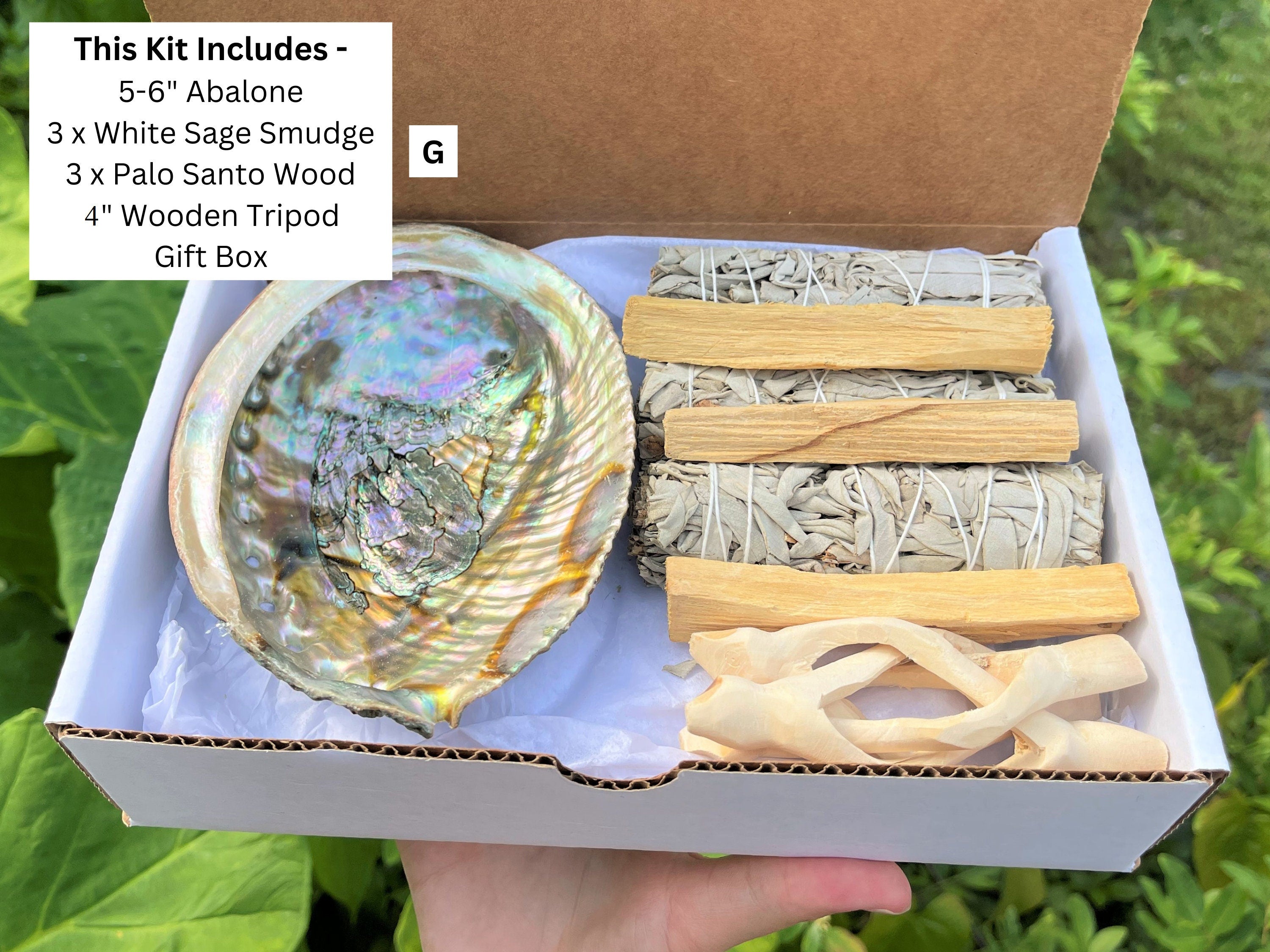 Spiritual Wellness White Sage Smudge Kit with Abalone Shell