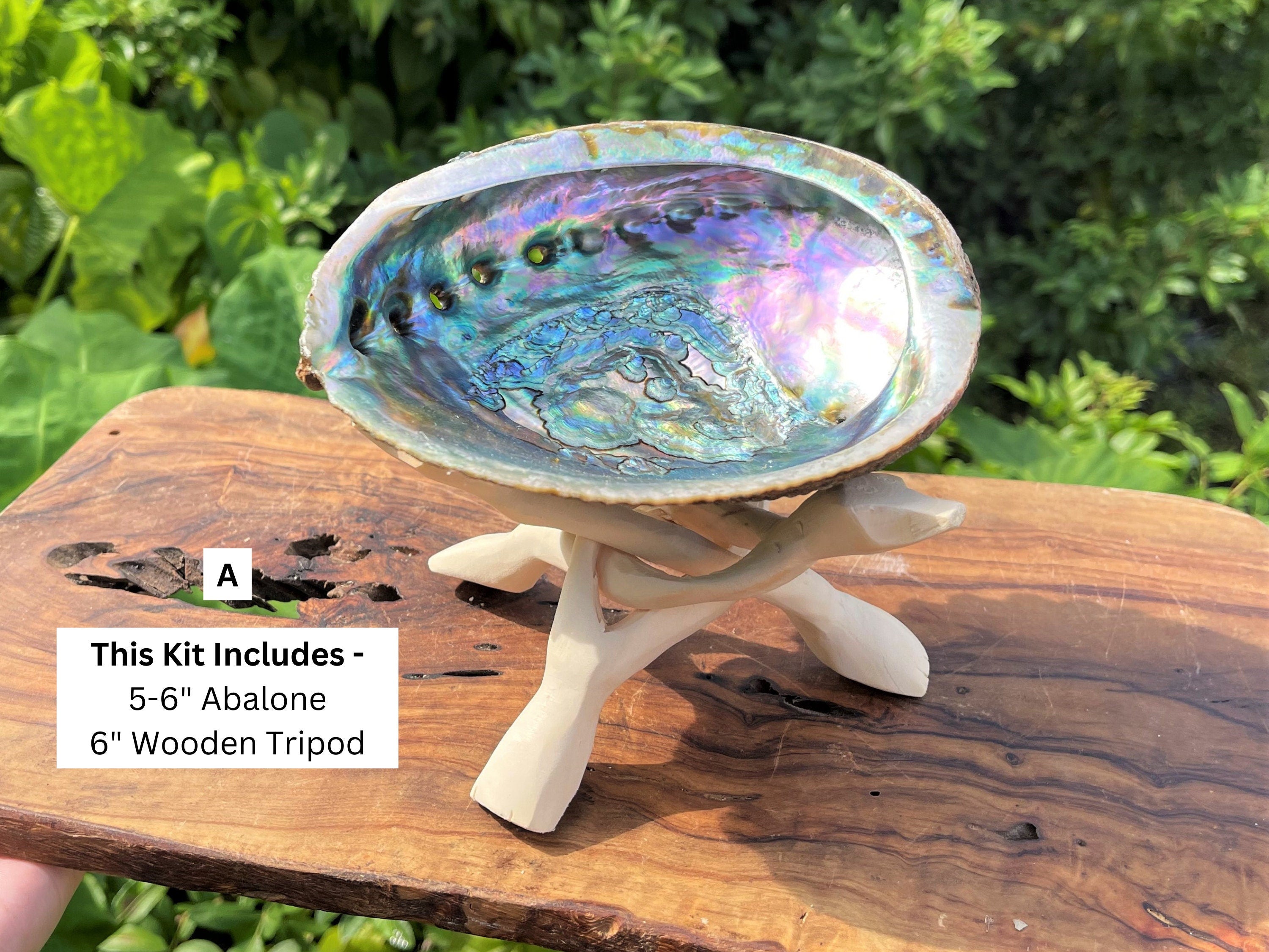 Spiritual Wellness White Sage Smudge Kit with Abalone Shell