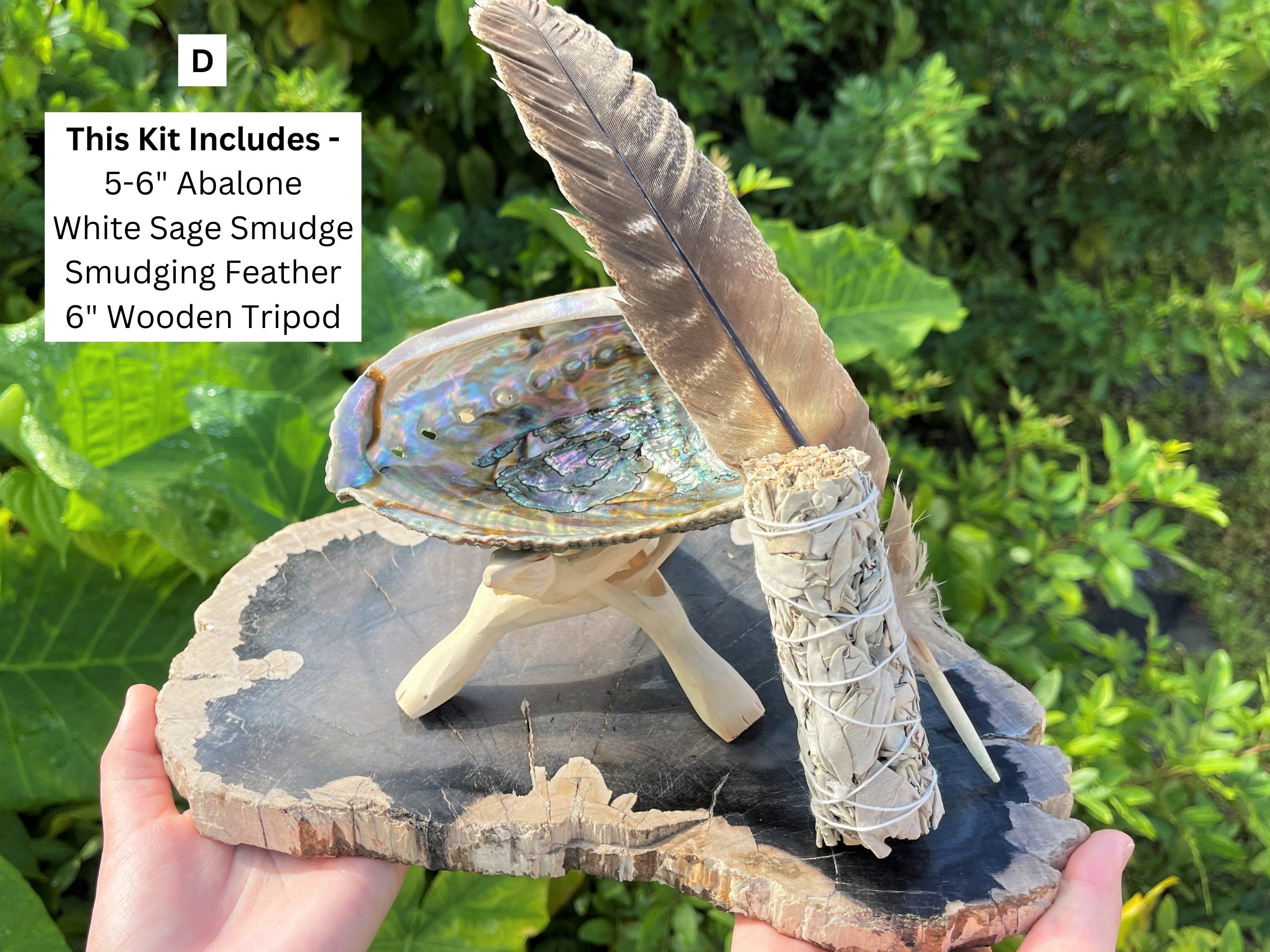 Spiritual Wellness White Sage Smudge Kit with Abalone Shell