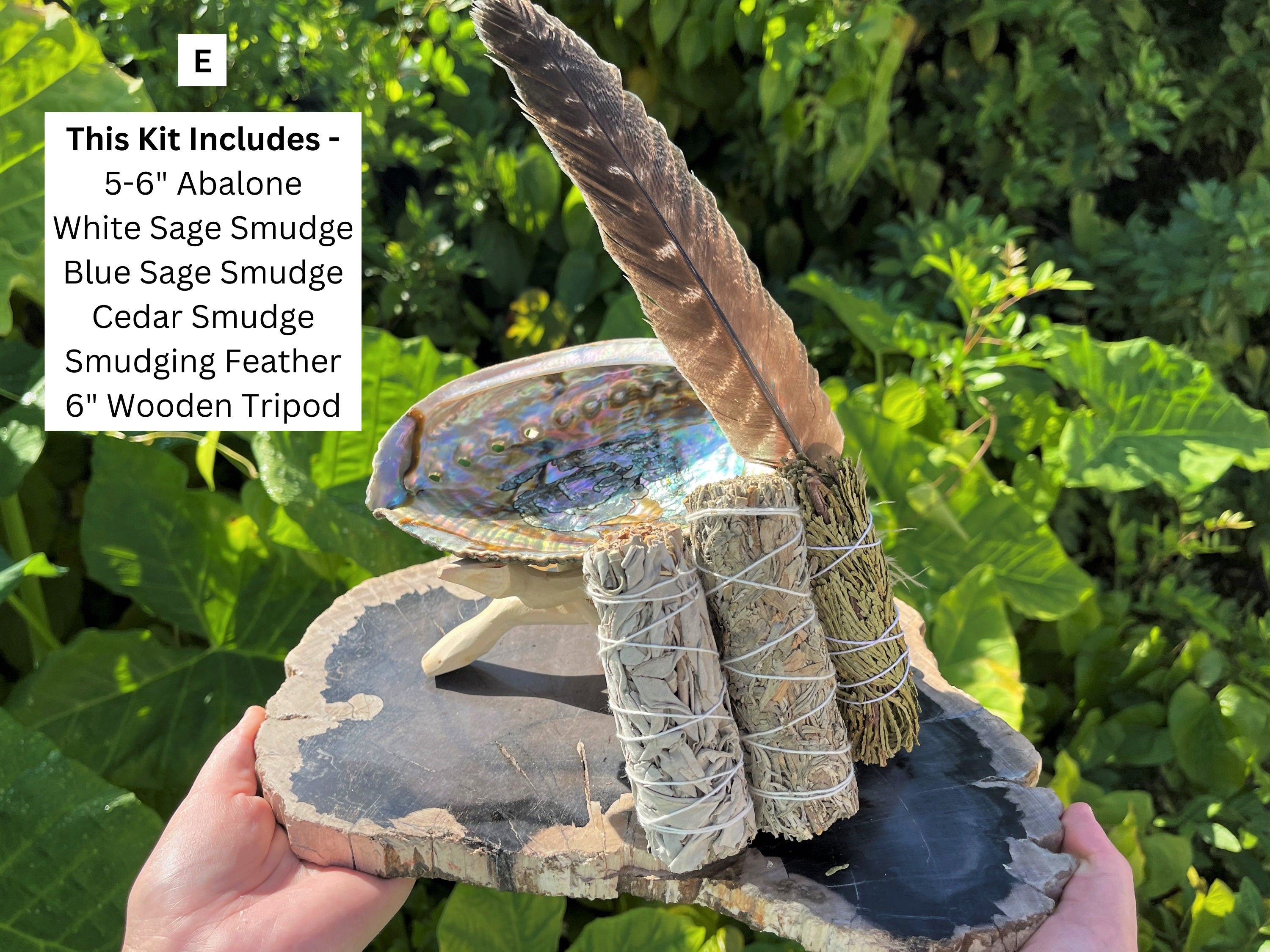 Spiritual Wellness White Sage Smudge Kit with Abalone Shell
