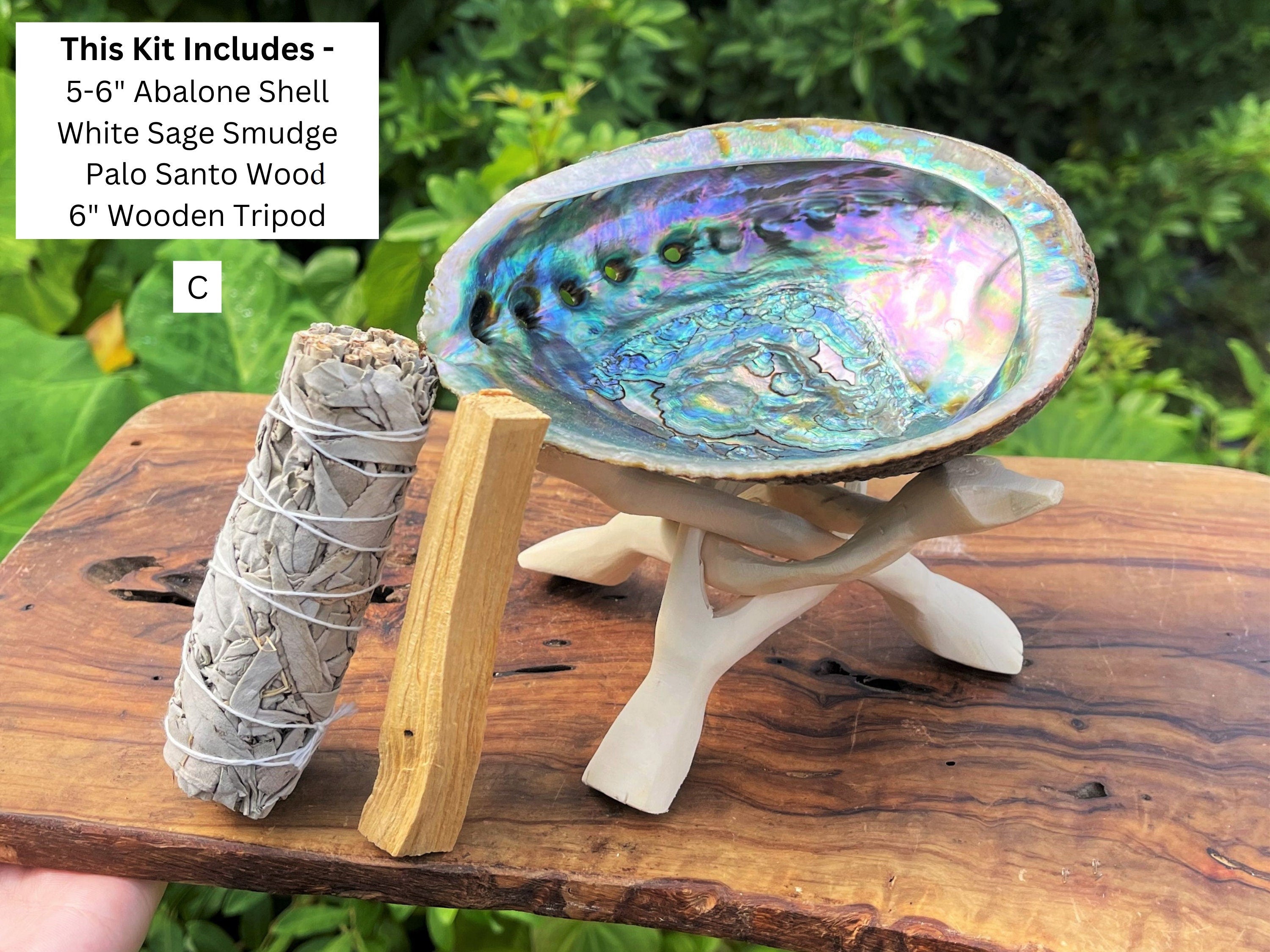Spiritual Wellness White Sage Smudge Kit with Abalone Shell